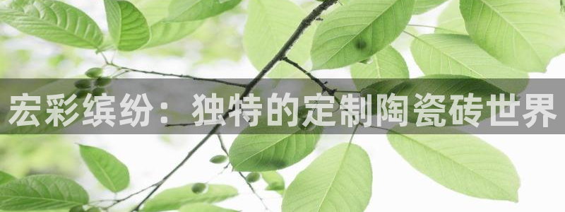 华润娱乐去深圳文案：宏彩缤纷：独特的定制陶瓷砖世界