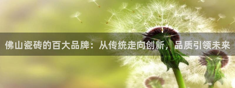 华润娱乐项目