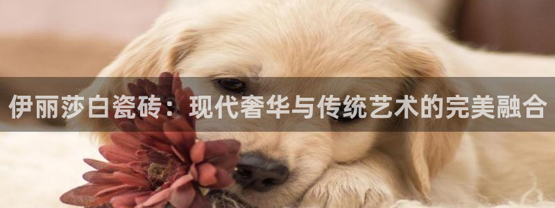 华润娱乐app下载官网