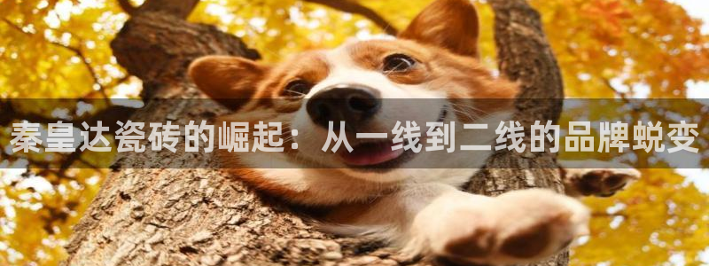 华润娱乐行580583