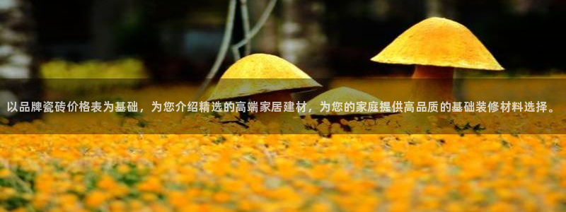 华润娱乐前