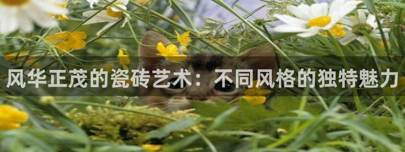 华润娱乐来q675.138