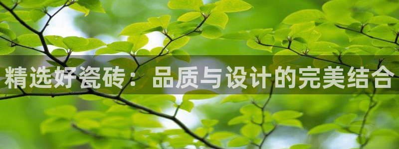 华润2娱乐382223