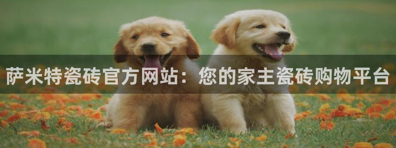 华润通积分娱乐大厅