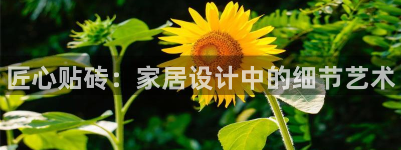 华润娱乐乃67五壹叁八