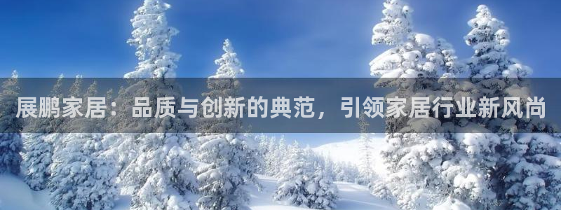 华润娱乐项目