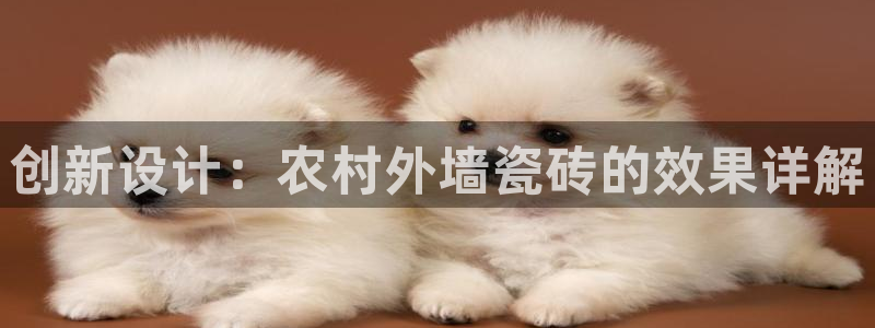 华润红家庭娱乐