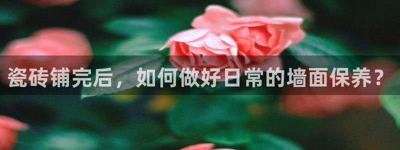 中国华润娱乐