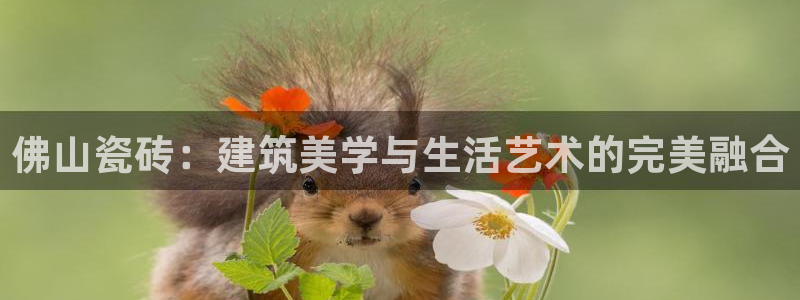 华润娱乐然