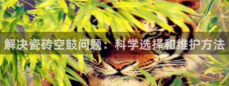 华润娱乐地址
