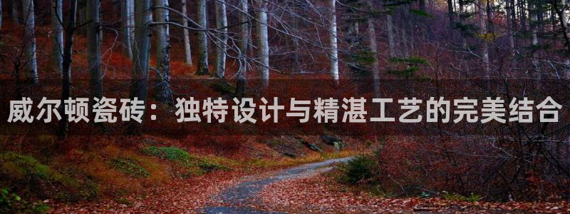 华润娱乐湛95692