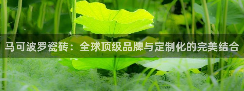 华润娱乐乃67五壹叁八