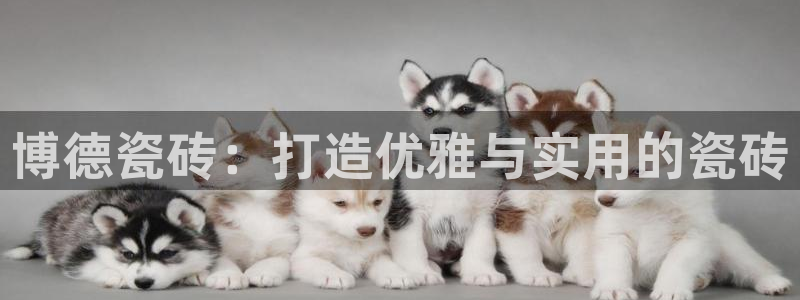 华润通积分娱乐大厅