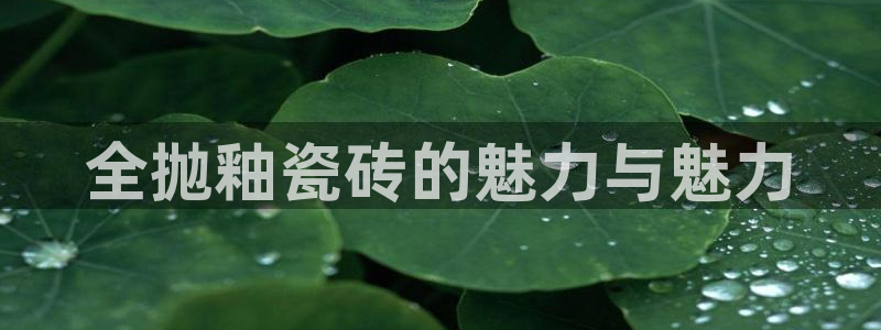 华润腾讯娱乐