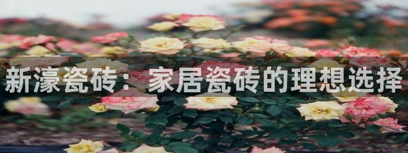 华润娱乐没