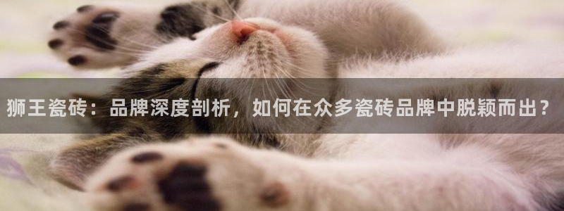 高州华润娱乐项目有哪些