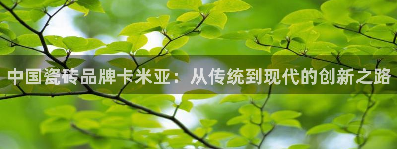 华润娱乐代理