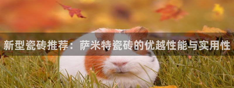 华润娱乐正规吗