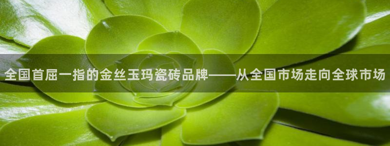 华润娱乐张博