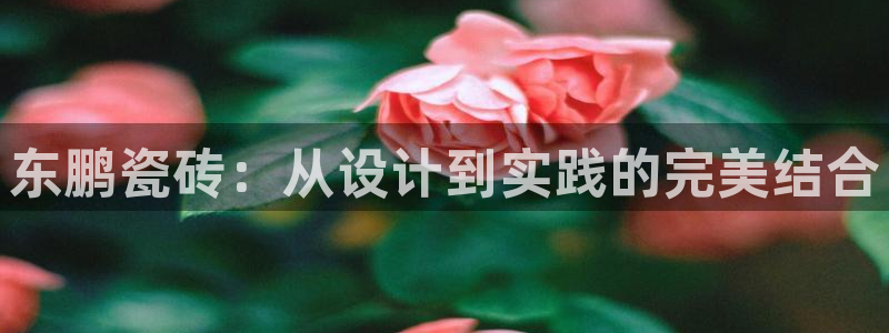 华润娱乐贴吧