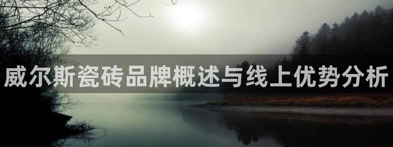 华润电子娱乐