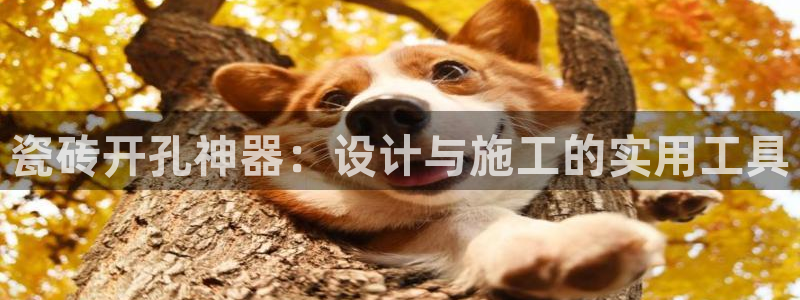首页华润娱乐