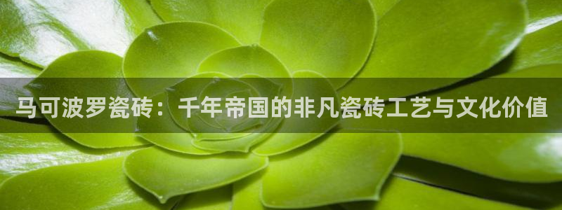 高州华润娱乐项目
