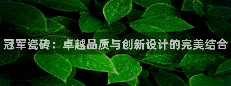 华润娱乐qv87555