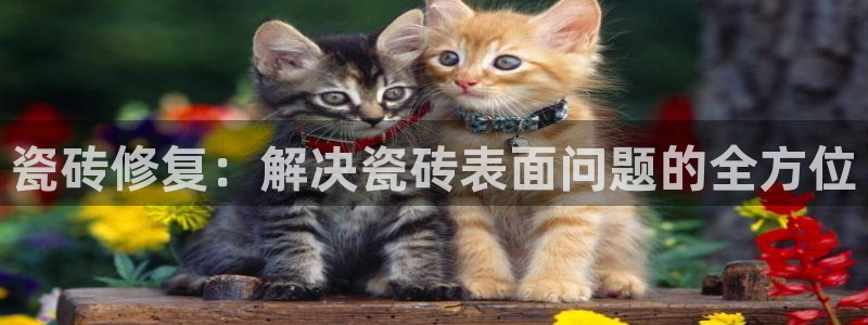 华润娱乐找qv3822233