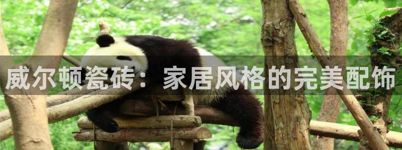 华润娱乐阂95692