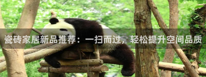 上海华润金丰娱乐娱乐