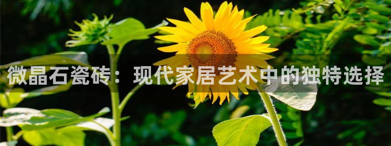 华润娱乐乃67五壹叁八