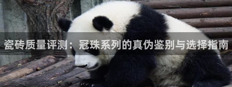 华润娱乐葳q675.138