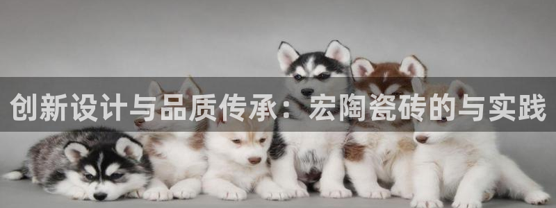 华润2娱乐招商主管