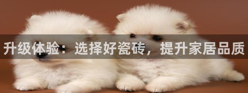 华润娱乐官方电话