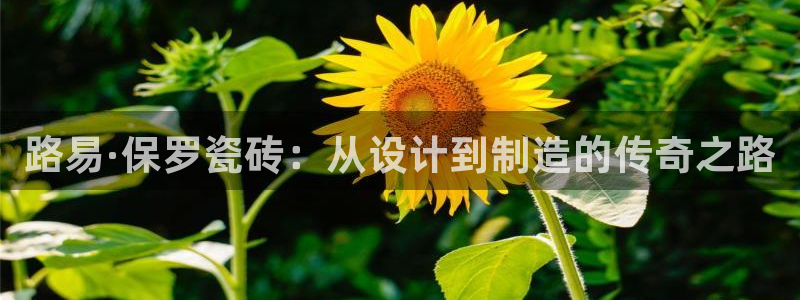 华润娱乐萄92222