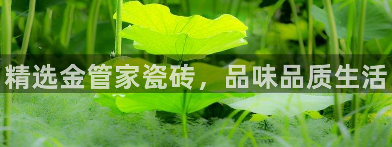 华润娱乐地址在哪里