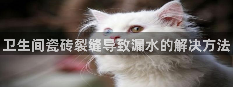 华润娱乐a3指尖