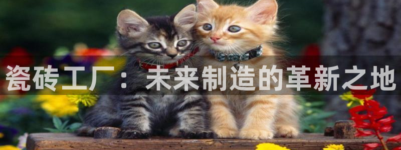 华润娱乐行政招聘面试