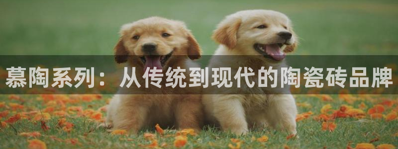 华润娱乐寡122222