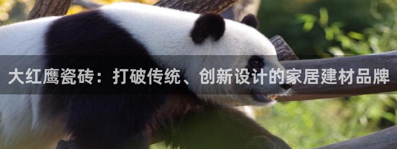 华润二十四城娱乐