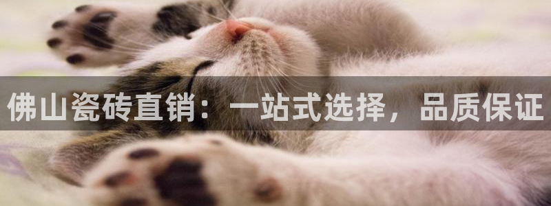 华润娱乐垂92222