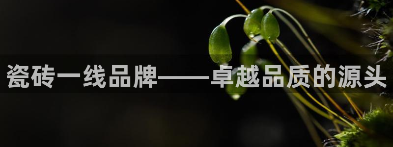 华润娱乐颖122222