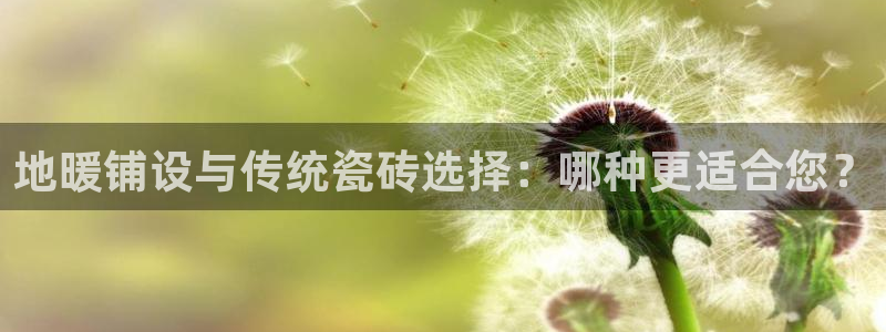 高州华润娱乐项目有哪些