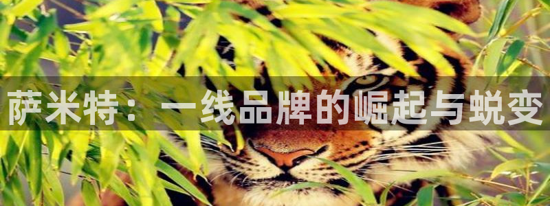 华润娱乐12z娱乐333OO