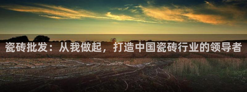 华润娱乐场所