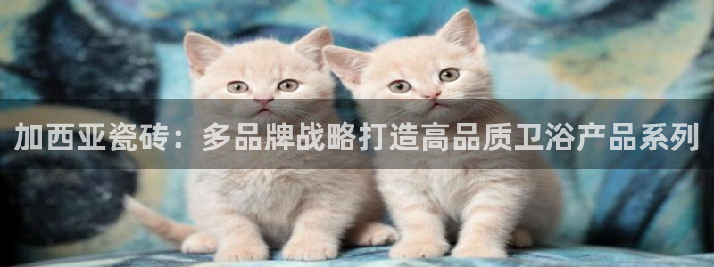 华润娱乐去深圳工作