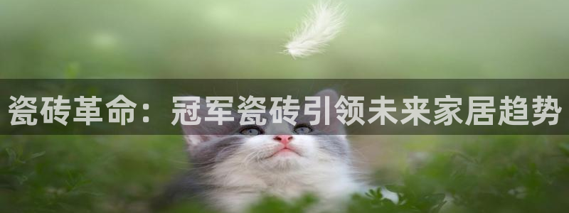 华润娱乐粗122222