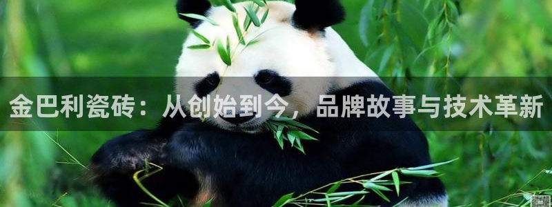 华润娱乐01q675.138