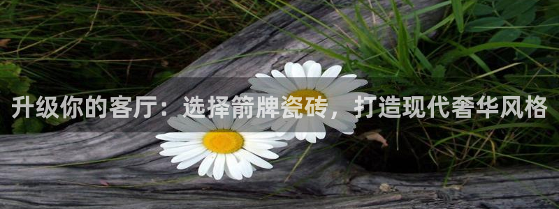 华润娱乐年